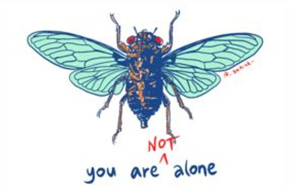 Cicada illustration, text: you are NOT alone